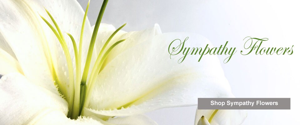 Beautiful Seasonal Flowers Banner